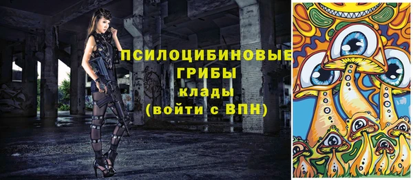 дмт Мегион
