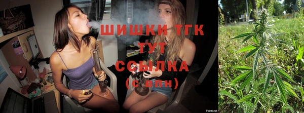 spice Дмитриев
