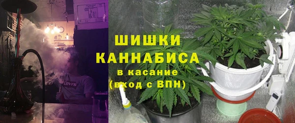 ГАЛЛЮЦИНОГЕННЫЕ ГРИБЫ Медногорск