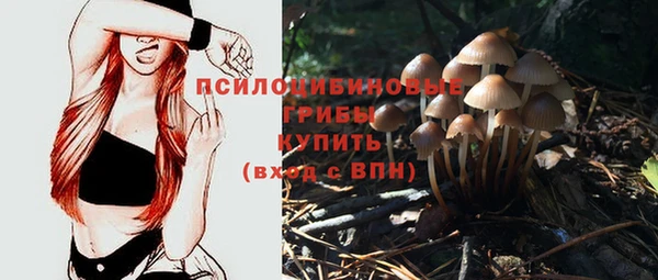 spice Дмитровск