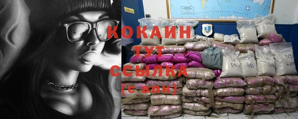 ГАЛЛЮЦИНОГЕННЫЕ ГРИБЫ Медногорск