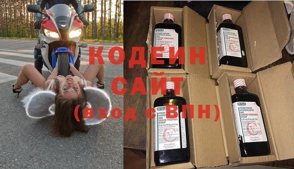 прущие грибы Бердск