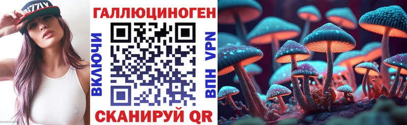 это наркотические препараты  Гагарин  Псилоцибиновые грибы прущие грибы  mega зеркало 