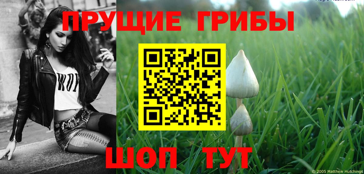Гагарин  Галлюциногенные грибы прущие грибы  Галлюциногенные грибы Cubensis  Вход с VPN 