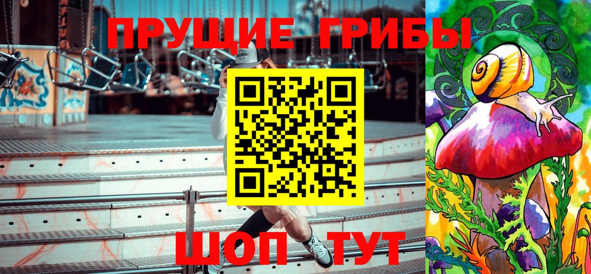 Псилоцибиновые грибы Psilocybe  Гагарин 